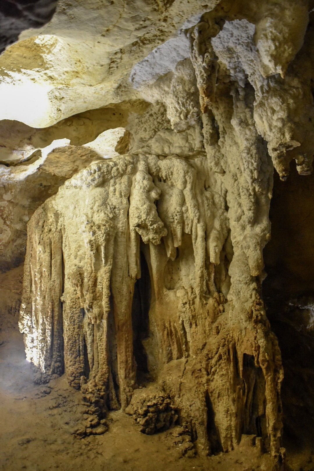 Naracoorte Caves, South Australia