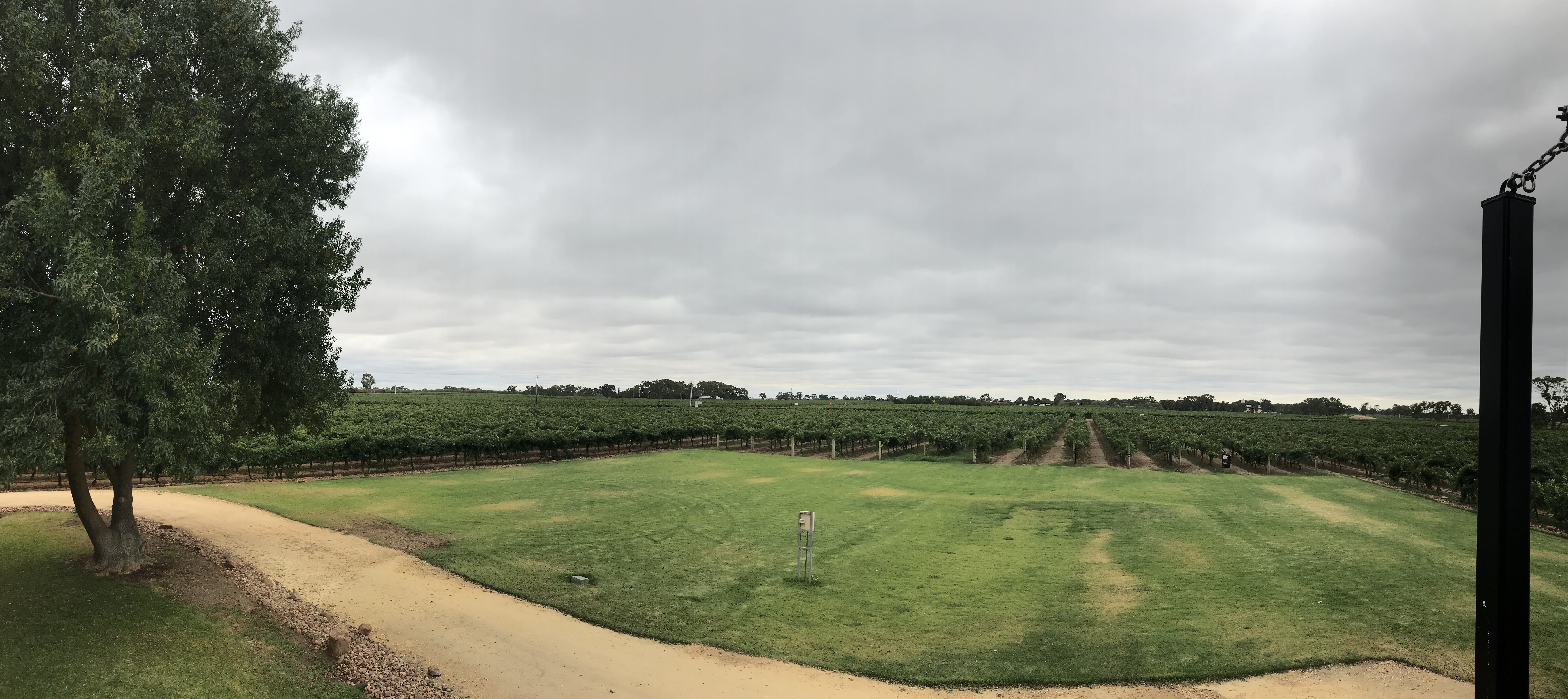 Hollick Wines, South Australia
