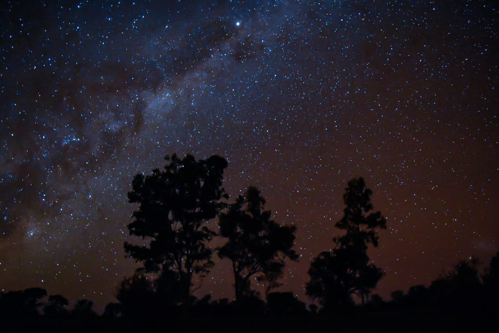 Night sky at Owen Springs
