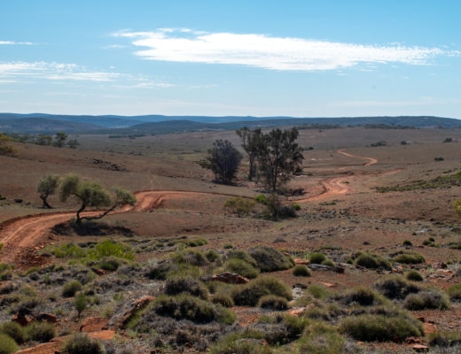 A Wanderer’s Guide to: The Gawler Ranges