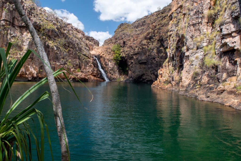 A waterfall with a large, clear pool surrounded by gorge walls and pandanus plants