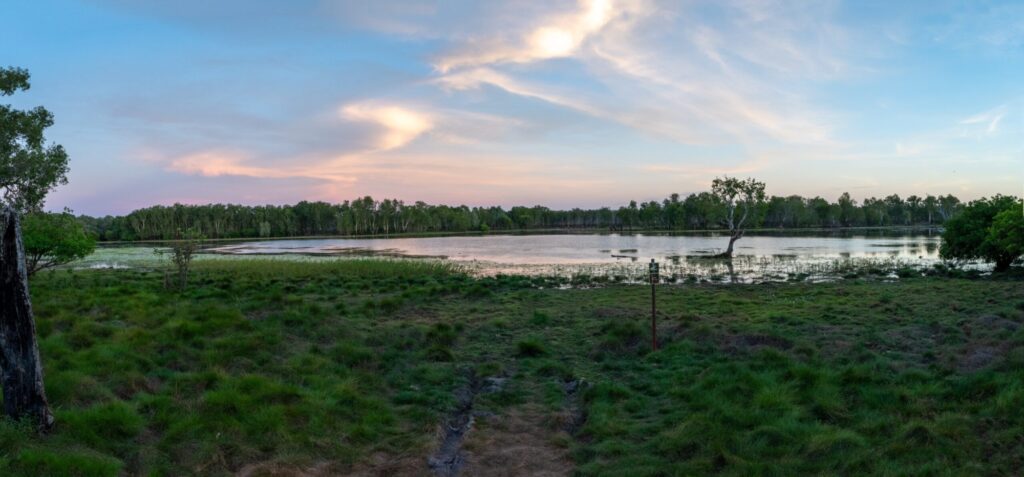 A sunset over a large billabong surrounded by trees and greenery
