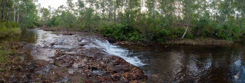 A rocky cascade fed by a river into a pool surrounded by lush bushland