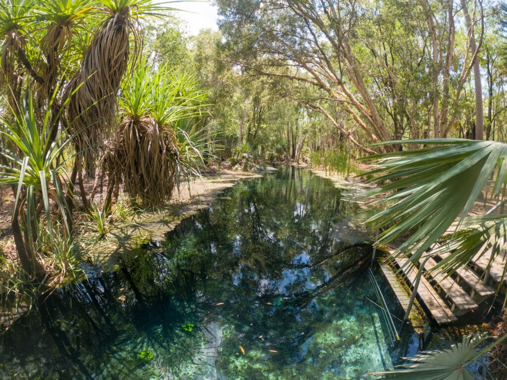 Stairs lead to a clear blue swimming hole surrounded by lush vegetation