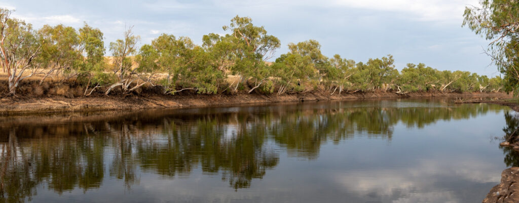 A long waterhole lined with gumtrees