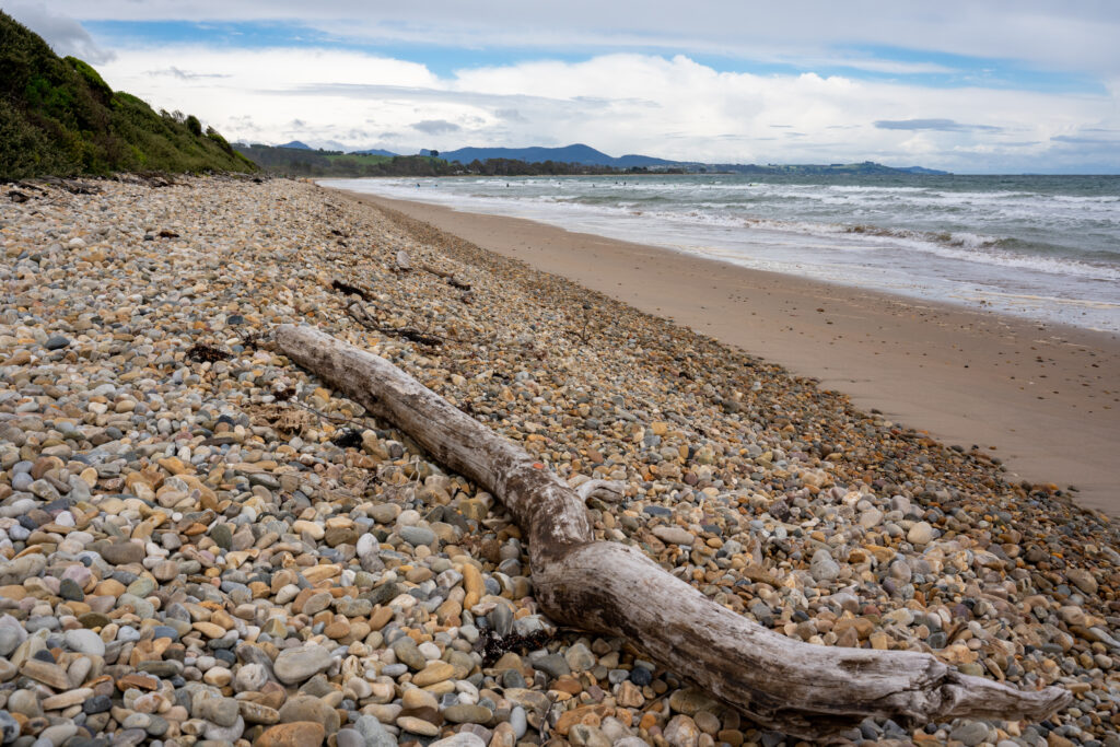 A piece of driftwood lies in the foreground on a pebbly beach on a cloudy day in Northwest Tasmania, Australia