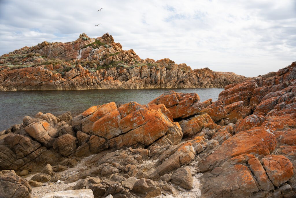 Lichen covered rocks with ocean in the middle, two seagulls flying in the air and a mostly cloudy sky