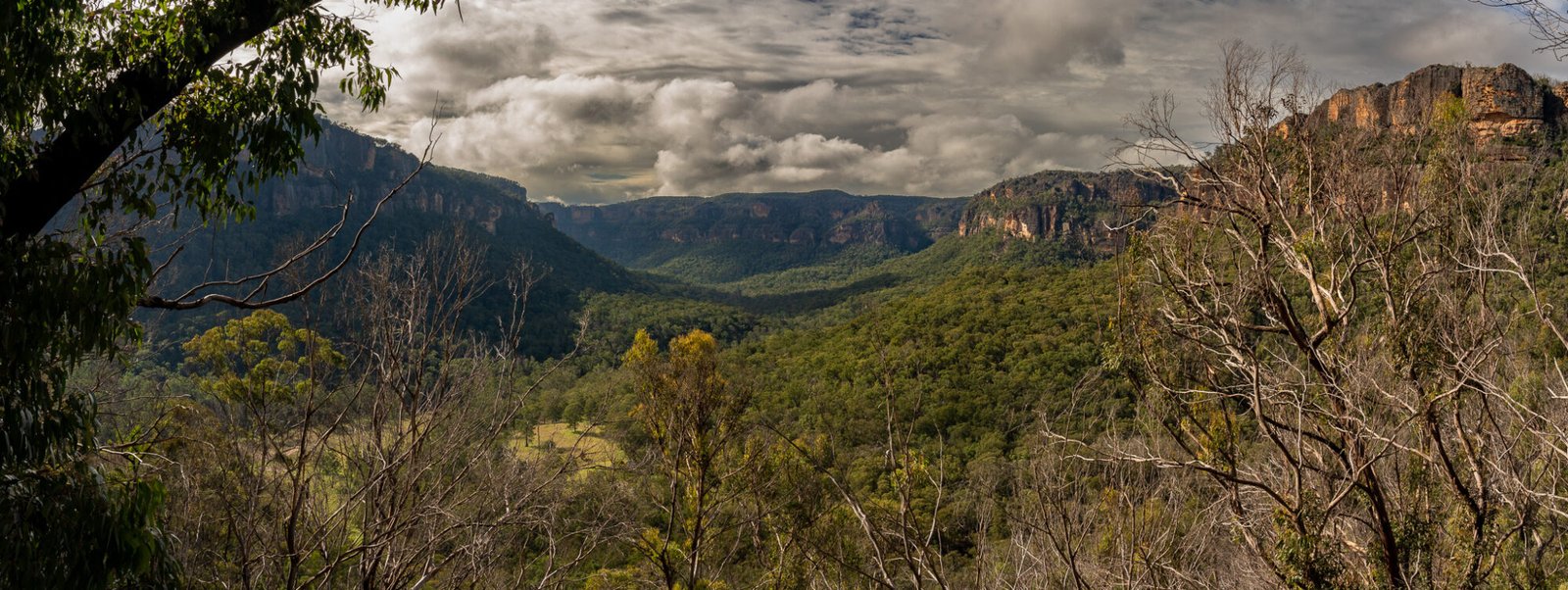 A panoramic view overlooking a treed valley framed by high cliffs on a mostly cloudy day