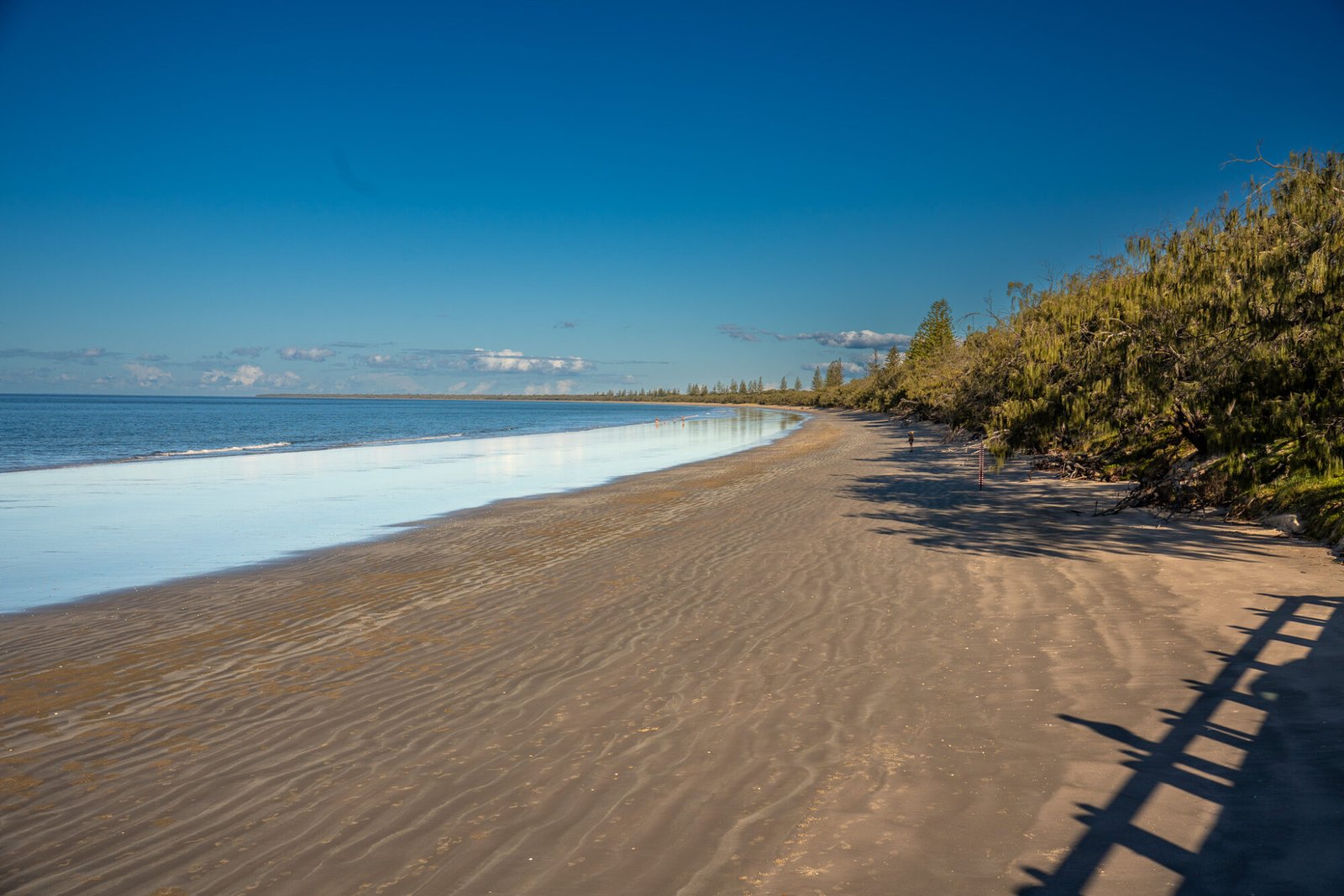 A long circular stretch of sandy beach is flanked by thick bushland and calm ocean on a mostly clear sunny day