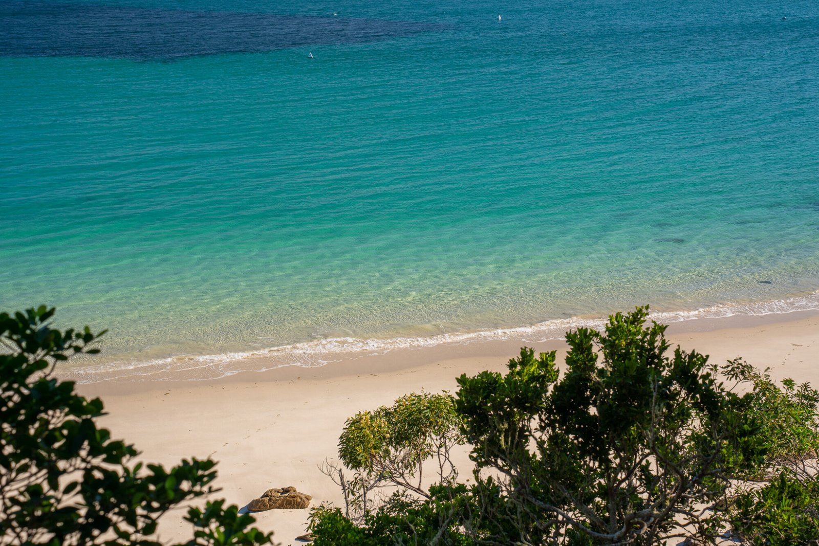 A view down through the trees to a sandy beach and clear blue ocean