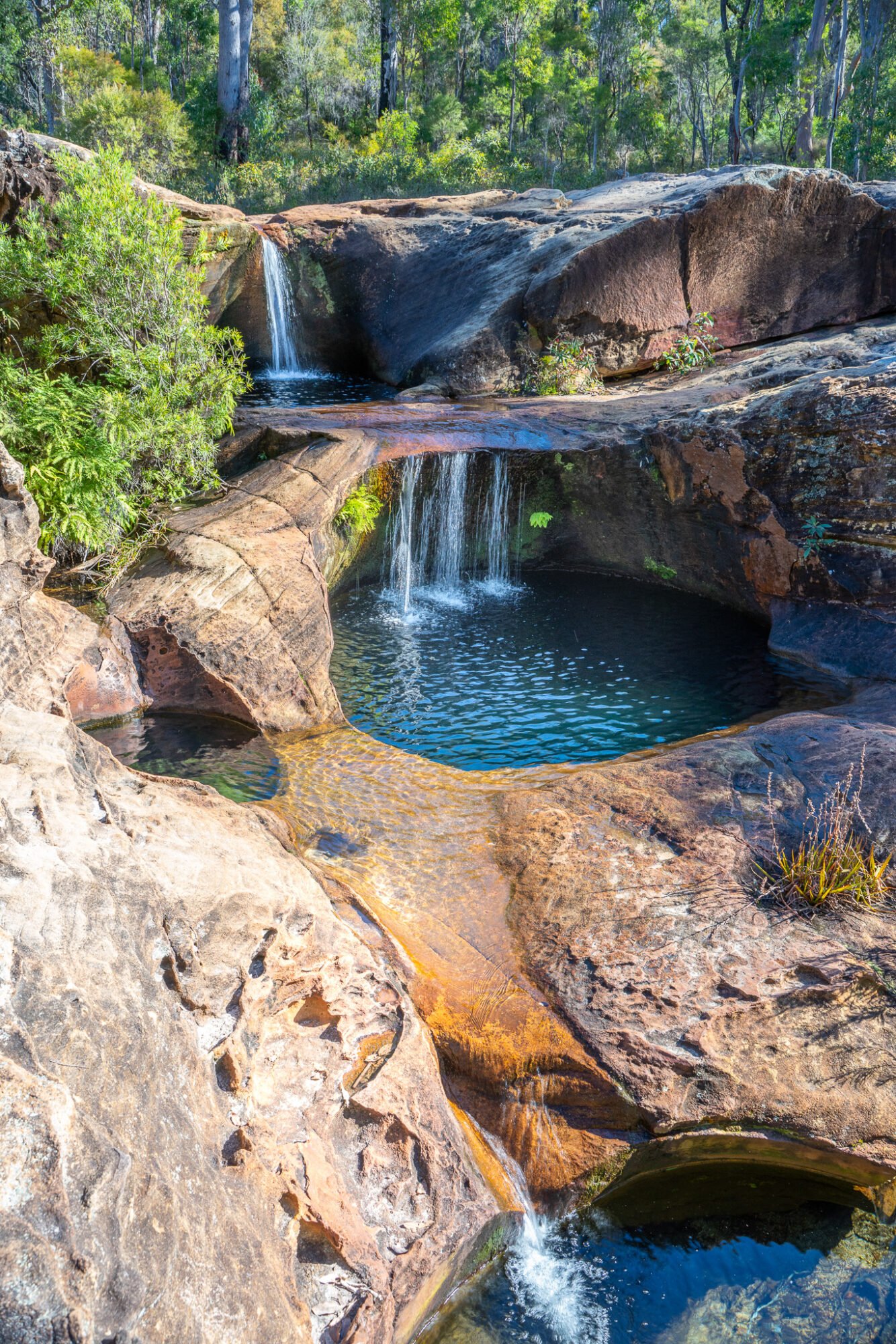 A three tiered rocky waterfall with circular pools with tall gum trees in the background