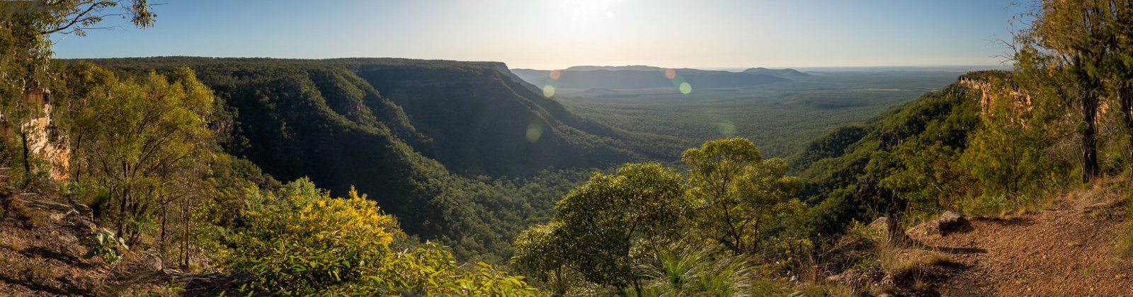 A panoramic view of a lookout over a gorge looking into the sun