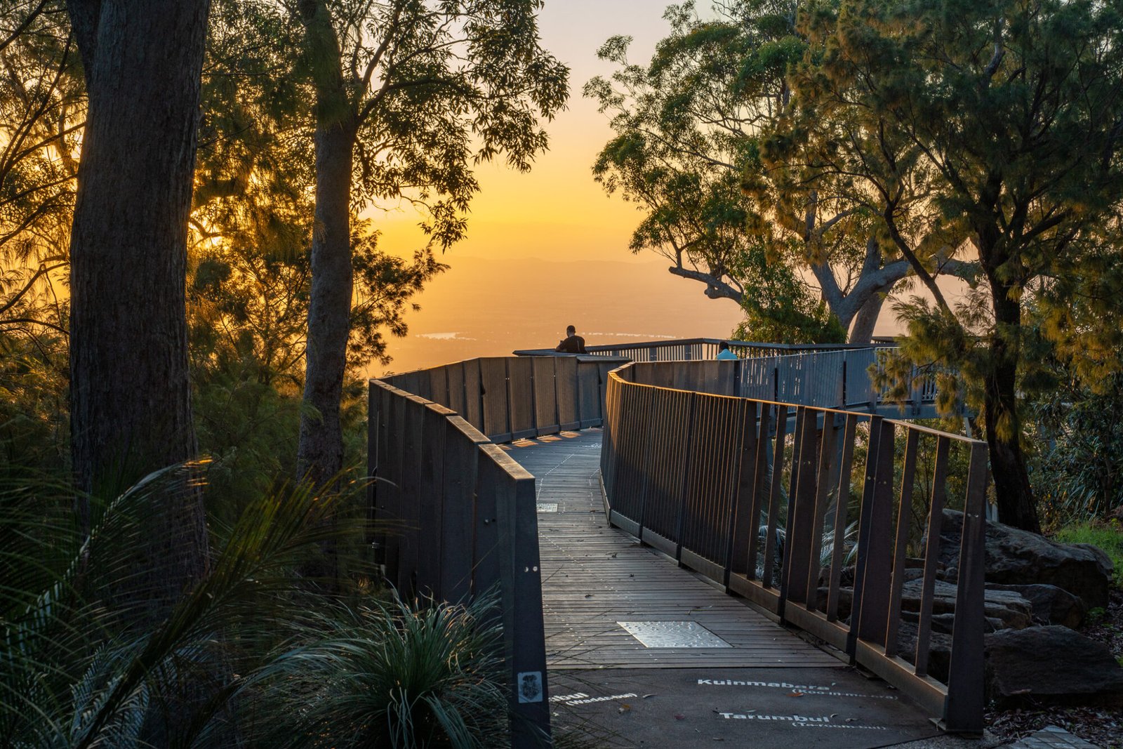 A wooden boardwalk leads through trees to a lone man standing at a lookout with an orange sunset sky