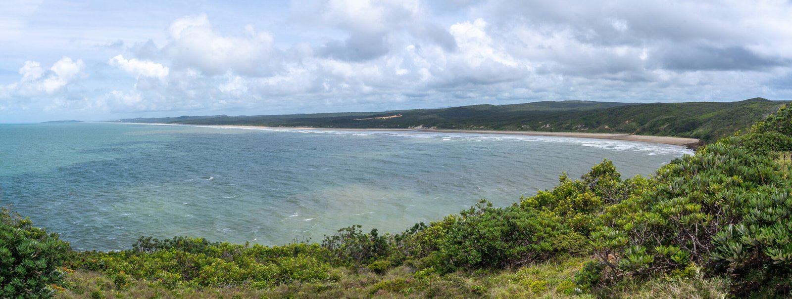 A panoramic view from a bushy hill of a long stretch of sandy beach continuing to the horizon and clear ocean on a mostly cloudy day