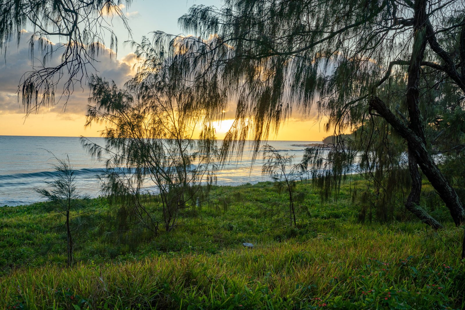 A grassy beach leads to the ocean at sunset