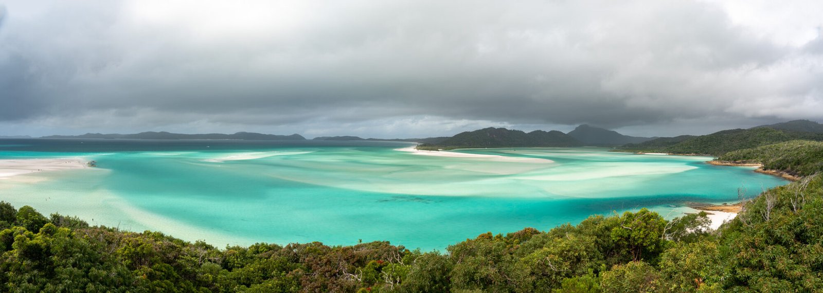 A high view of Whitsunday Beach with lush trees in the foreground and bright turquoise ocean swirled with white sand and rolling green hills in the background on a mostly cloudy day