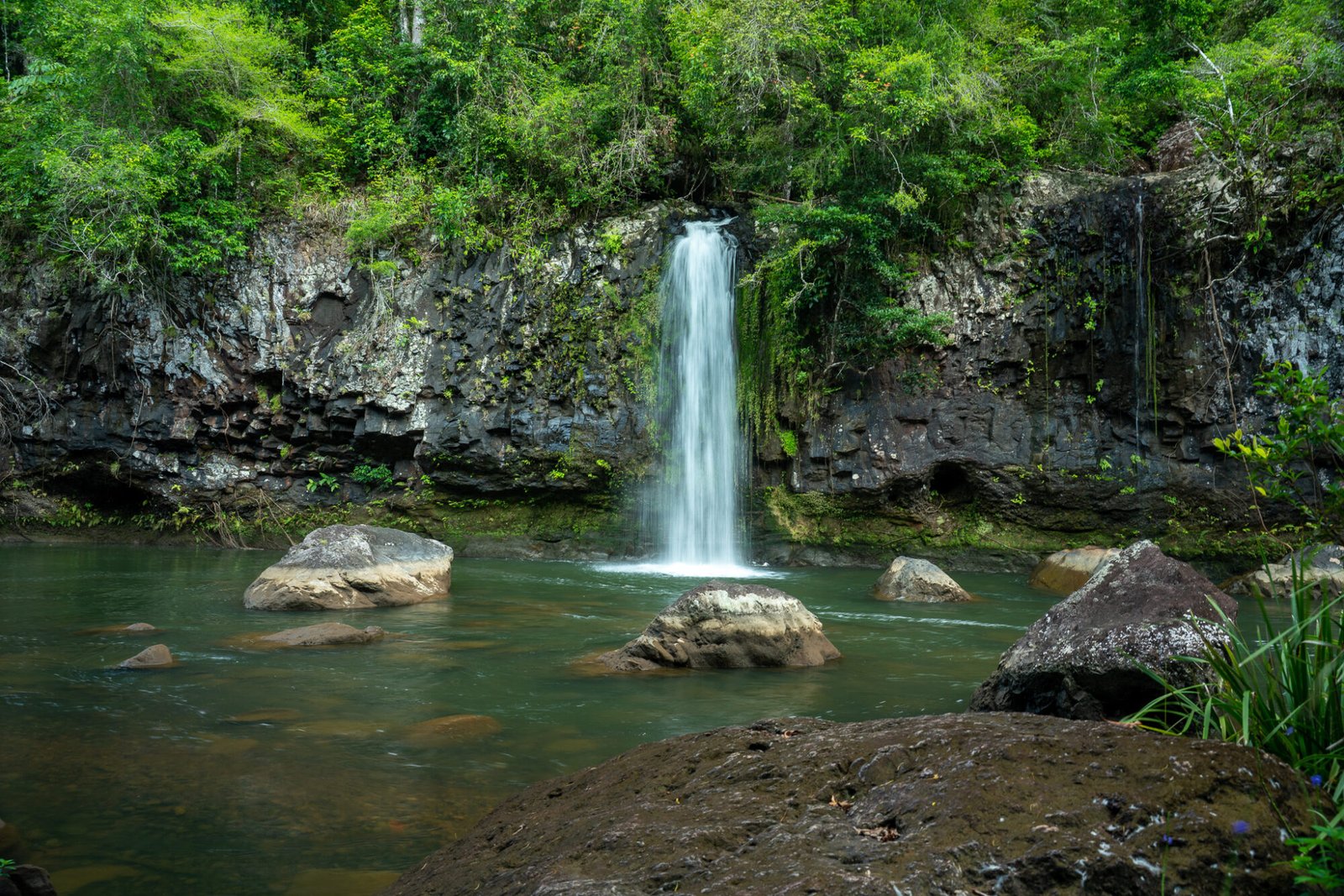 A small single drop waterfall emerges from dense green vegetation into a running river with large boulders throughout