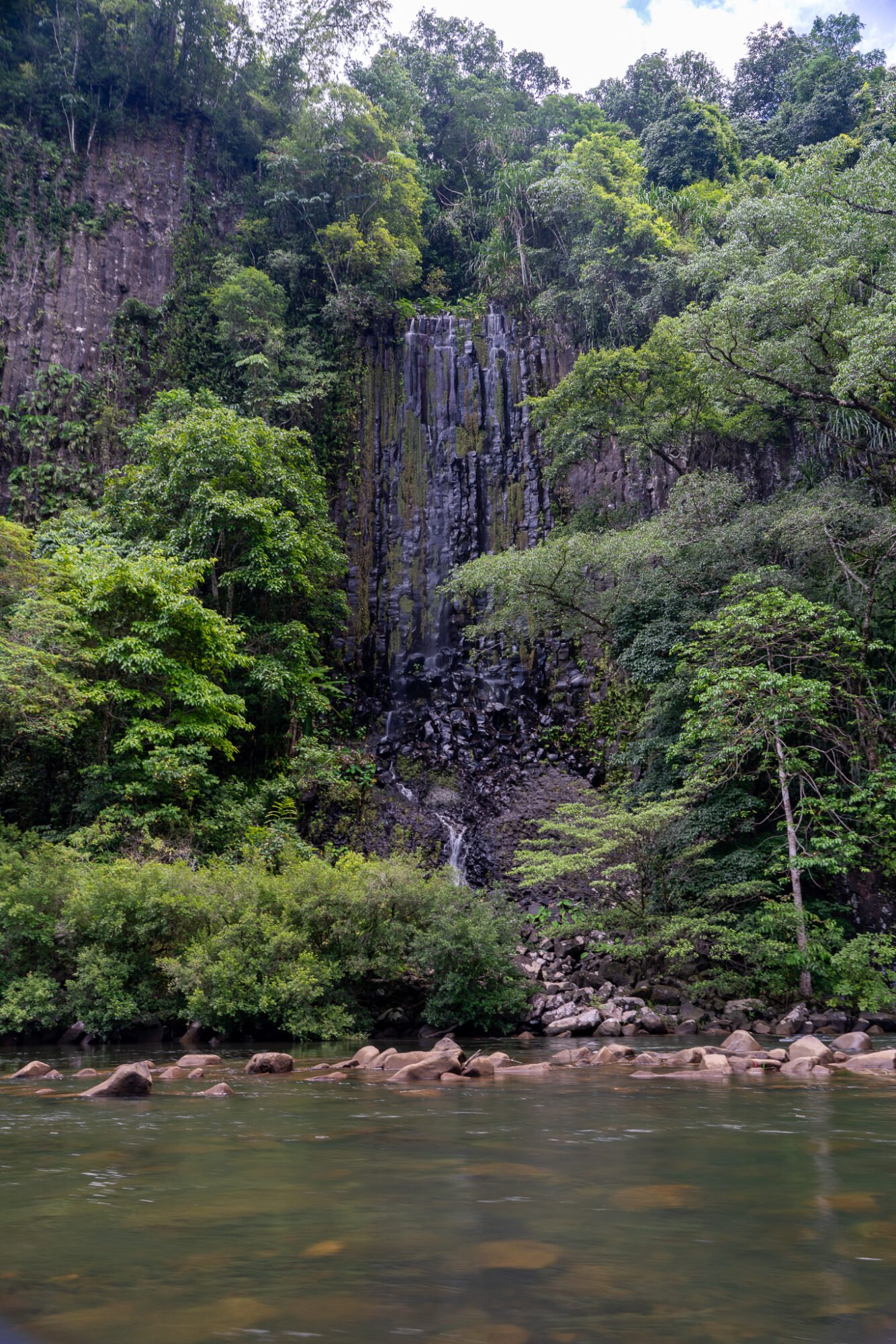 A tall rock wall surrounded by green vegetation has a light tricklign waterfall running down into a river with a rocky bottom