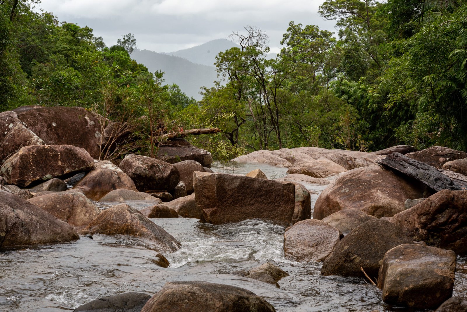 A running river with large bouldersruns to lush green vegetation and misty hills in the background
