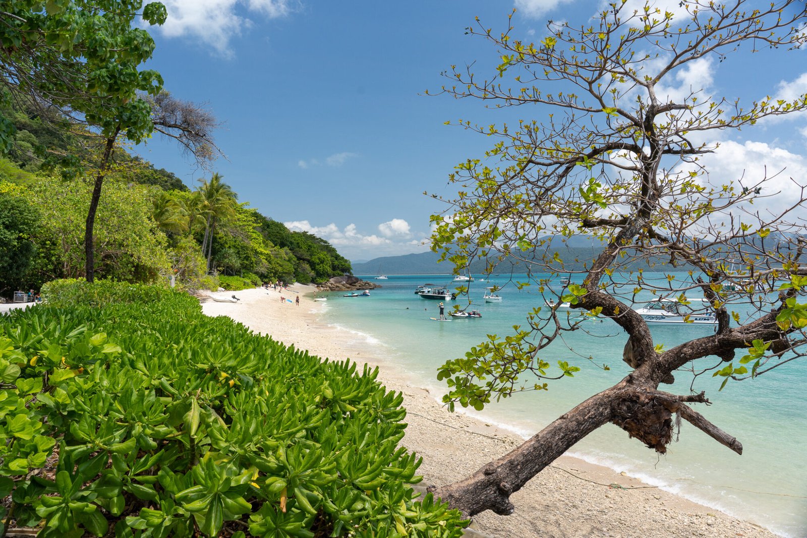 A view from behind a small tree and shrubbery towards a white sand beach and lush green vegetation with a landmass across the ocean in the background