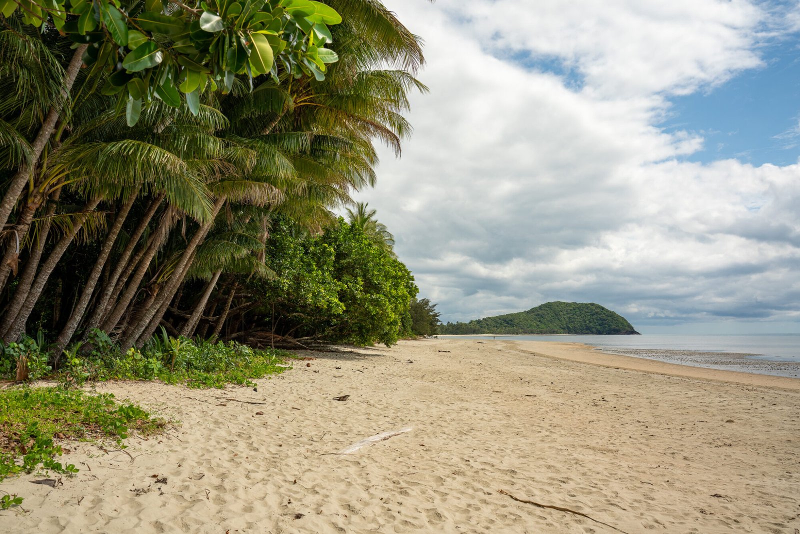 A light coloured sandy beach with lush rainforest and palm trees to the left and a green headland in the distance on a partly cloudy day