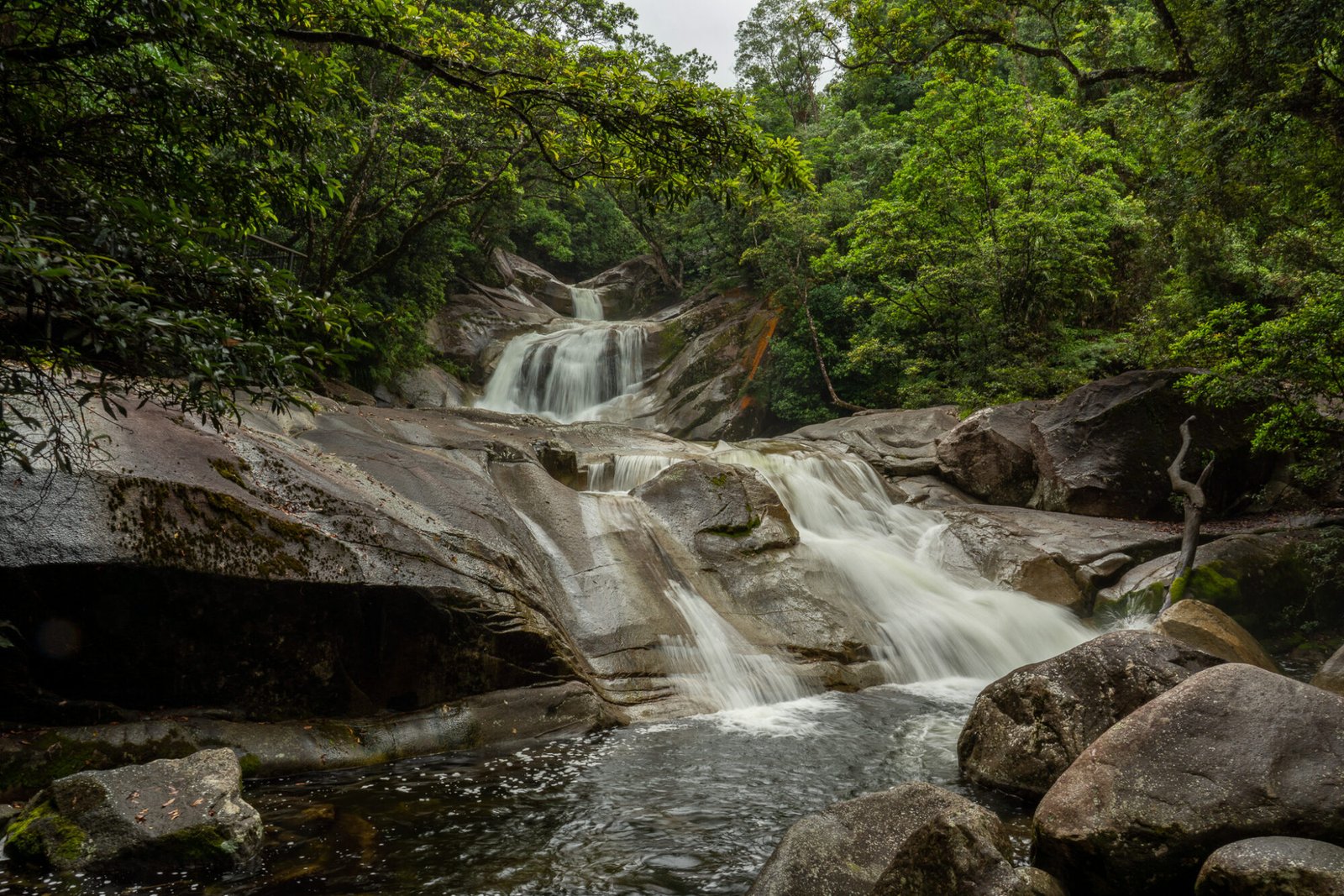 Three short rocky waterfalls flow into pools as they wind through the rainforest on an overcast day