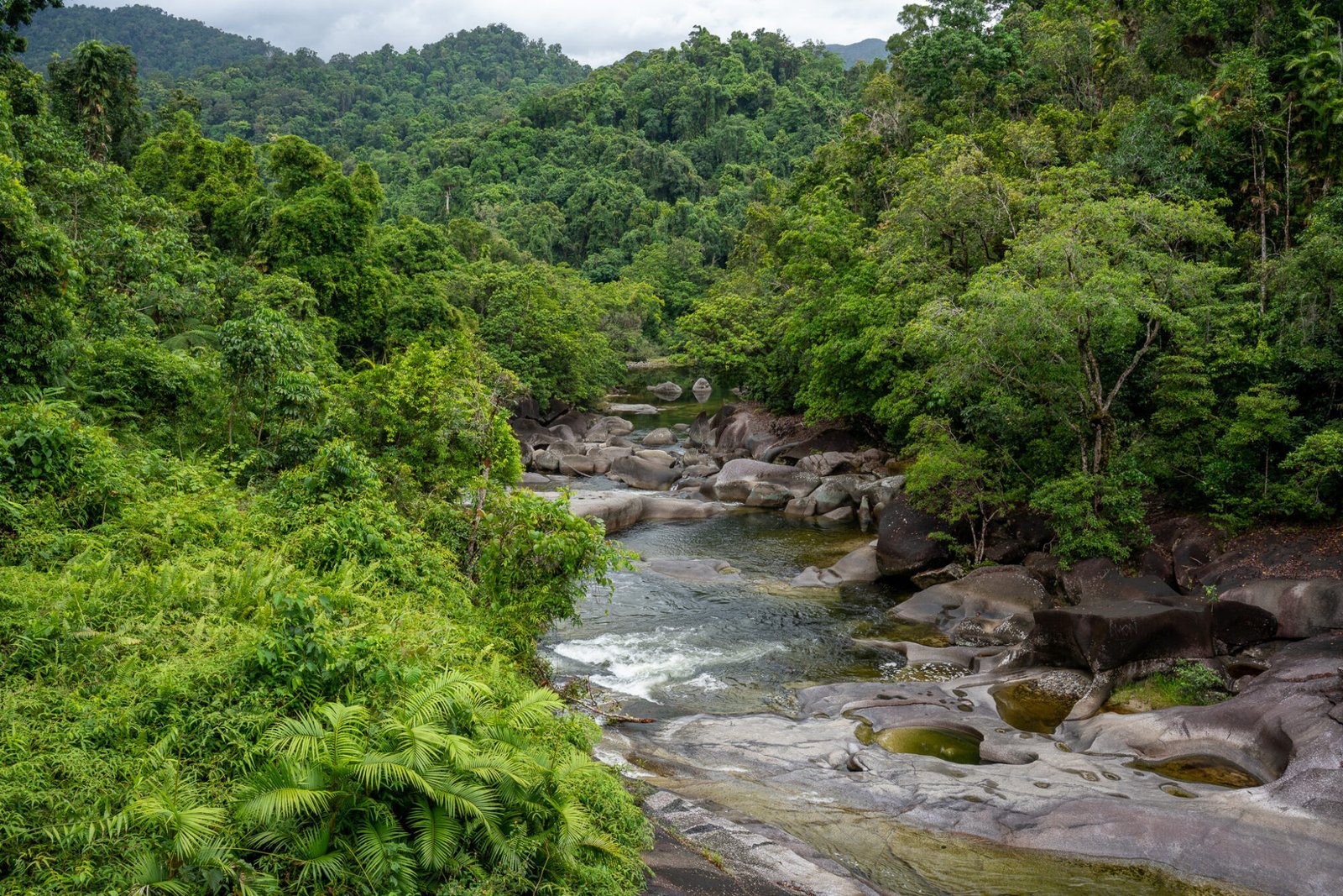 A granite based river carves through dense rainforest on an overcast day