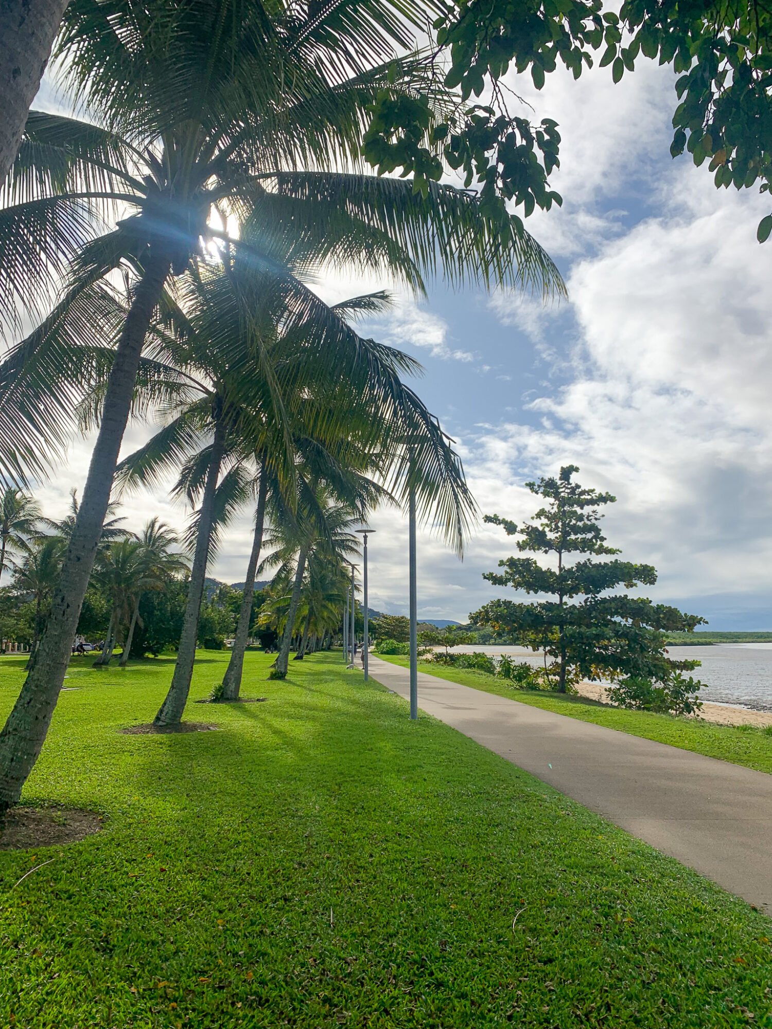 A lush green lawn and a concrete path lined with the sun peeking through the palm trees and lamp posts follows the Cairns Foreshore on a partly cloudy day