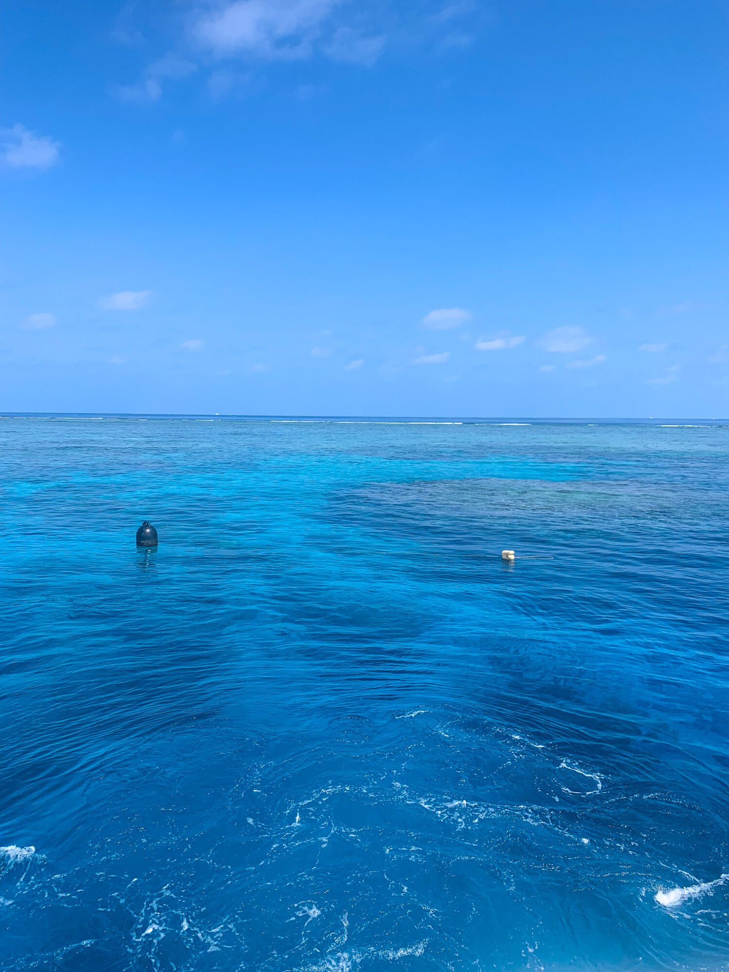 A view from a boat of the Great Barrier Reef, with clear blue water and coral formation seen from the surface on a mostly clear day